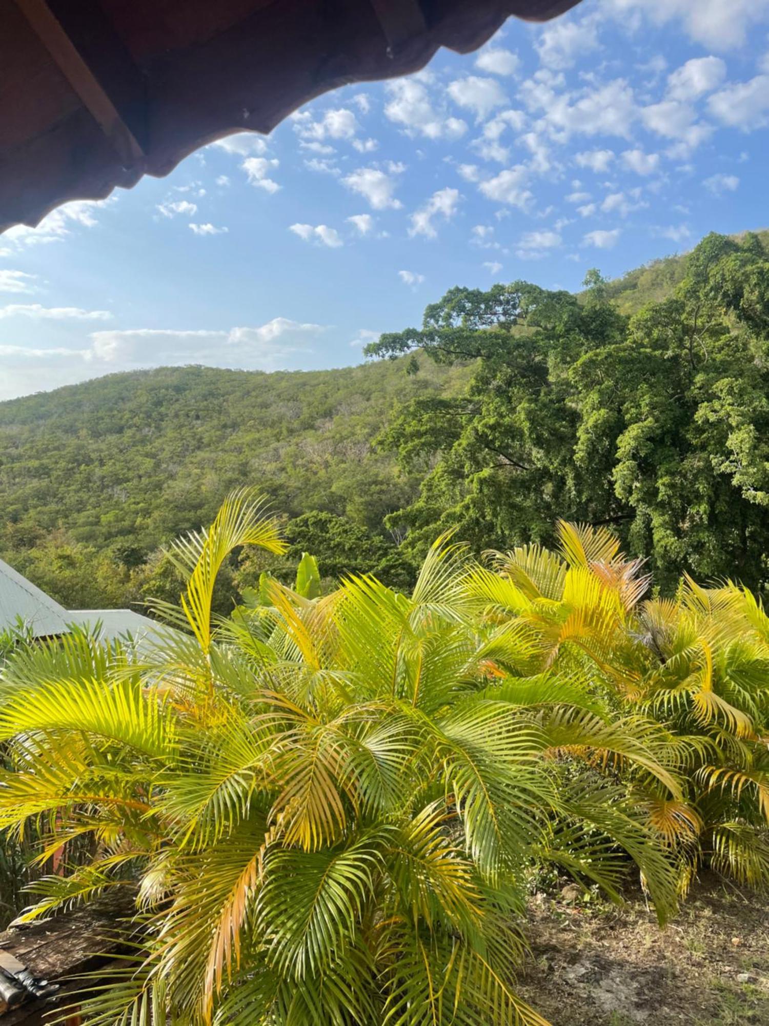 L'Escapade Naturelle Pointe-Noire Exteriér fotografie