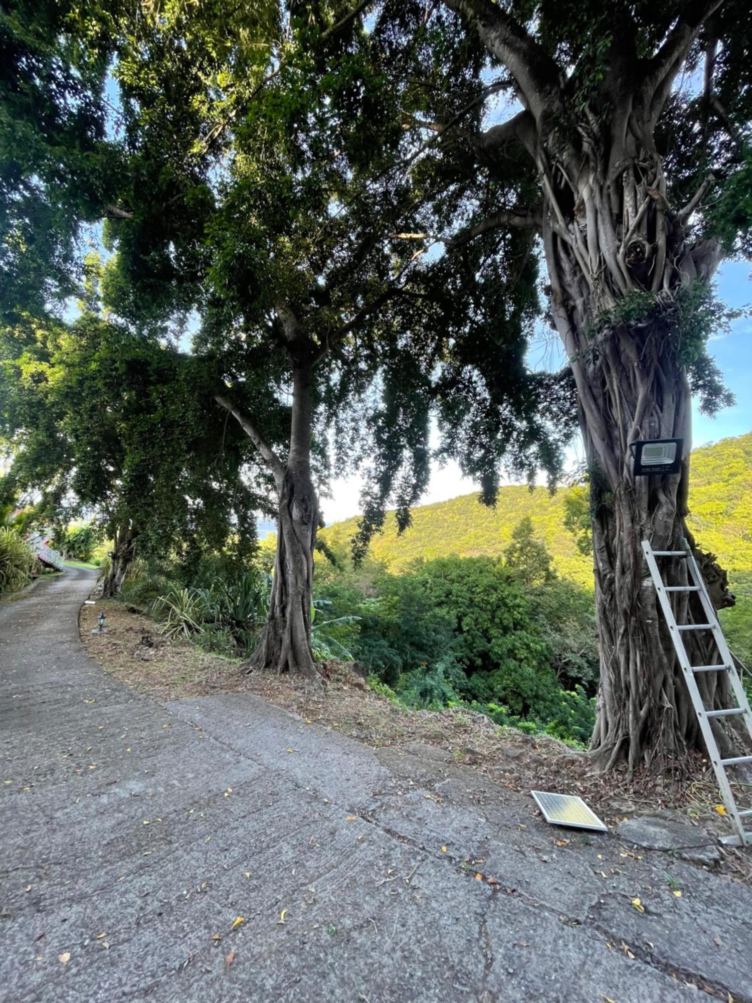L'Escapade Naturelle Pointe-Noire Exteriér fotografie